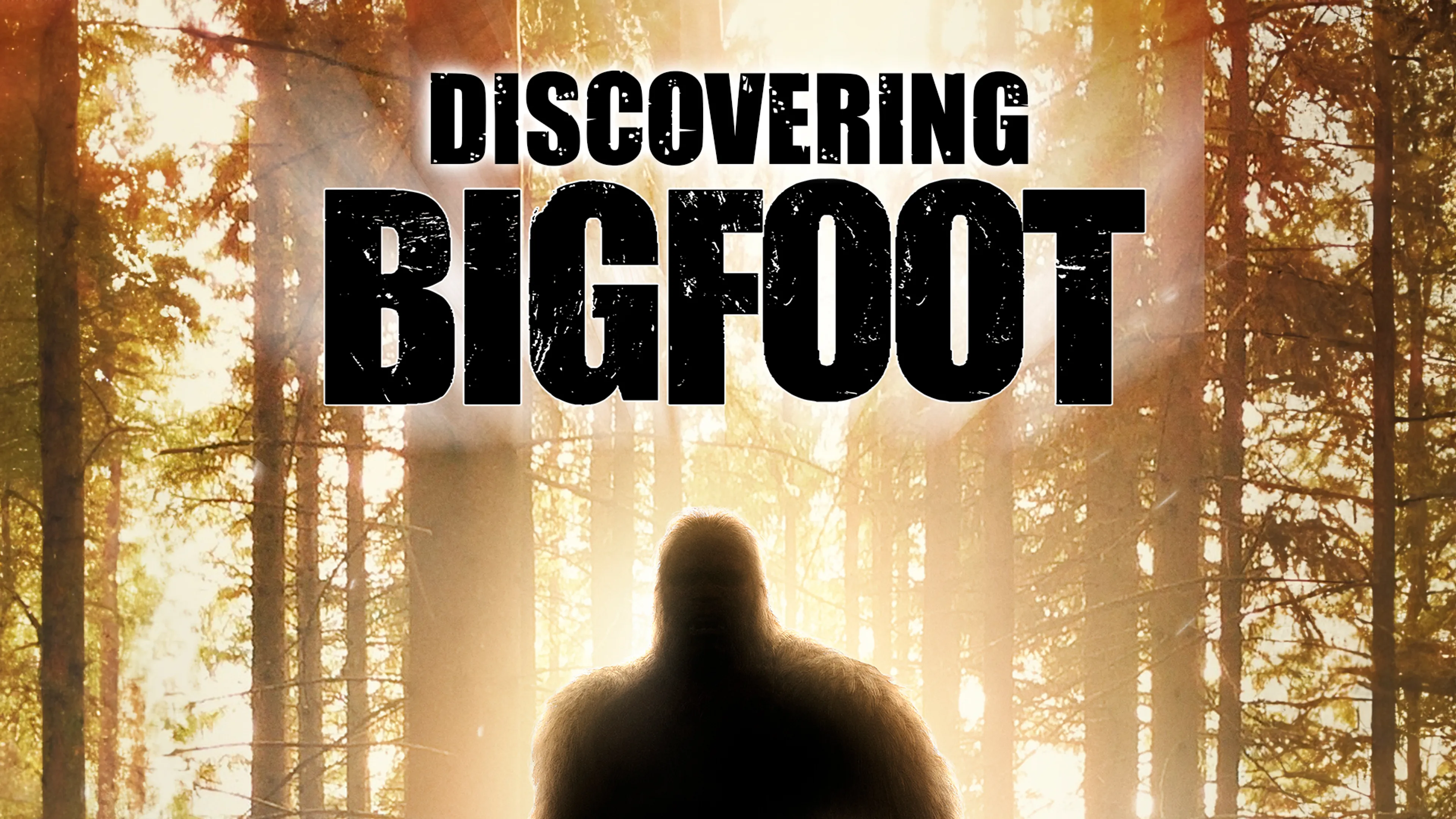 Discovering Bigfoot poster